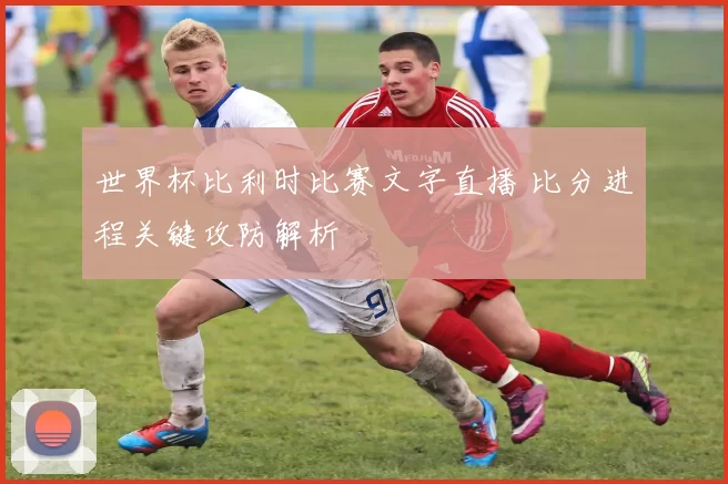 世界杯比利时比赛文字直播 比分进程关键攻防解析