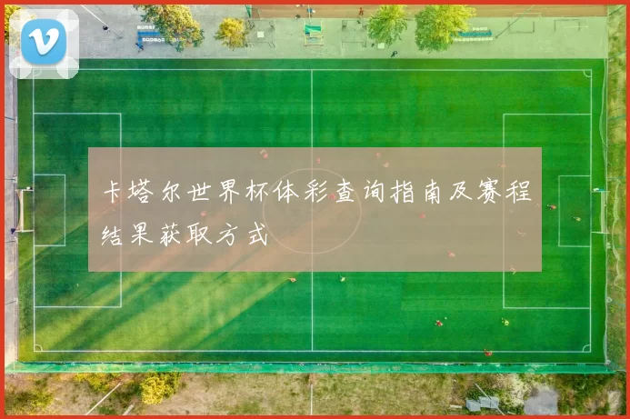 卡塔尔世界杯体彩查询指南及赛程结果获取方式