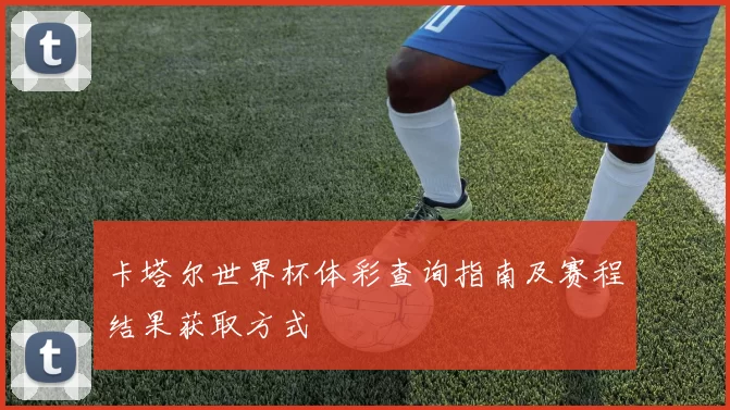 卡塔尔世界杯体彩查询指南及赛程结果获取方式