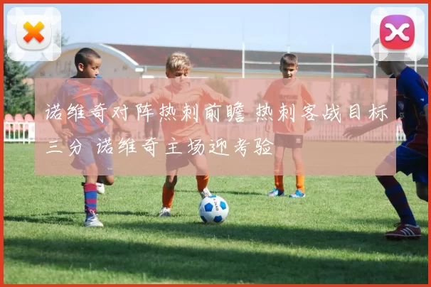 诺维奇对阵热刺前瞻 热刺客战目标三分 诺维奇主场迎考验