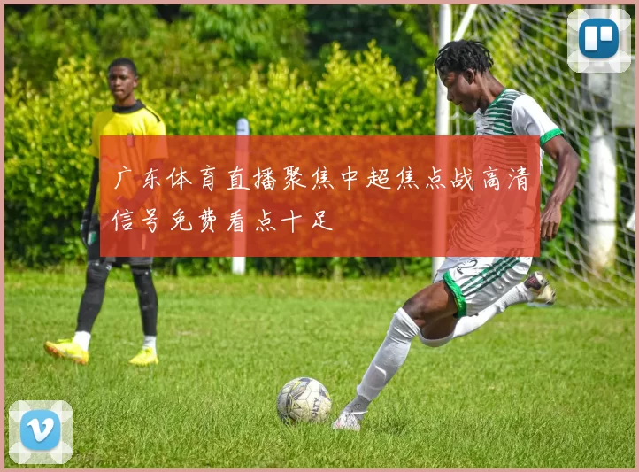 广东体育直播聚焦中超焦点战高清信号免费看点十足